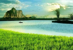 Top 10 Bai tho hay ve lang que Viet Nam