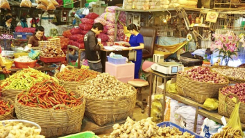 Top 10 Cho dau moi lon va re nhat tai thanh pho Ho Chi Minh