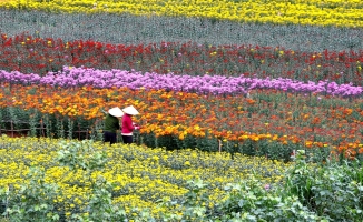 Top 10 Lang hoa noi tieng quanh Ha Noi