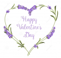 Top 10 Ly do nen tang Lavender hoa Oai Huong vao ngay Valentine