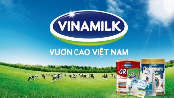 Top 10 Tap doan cong ty lon nhat Viet Nam