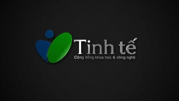 Top 10 Website cho phai manh duoc yeu thich nhat