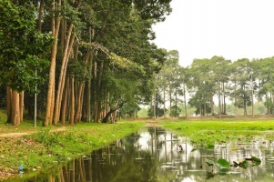 Top 4 Le hoi truyen thong noi tieng nhat o Tra Vinh