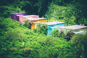 Top 5 Homestay khach san dep nhat Moc Chau