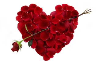 Top 5 Loi chuc Valentine 142 hay va y nghia nhat
