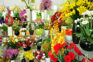Top 5 dia chi ban hoa gia dep nhat tai Hai Phong