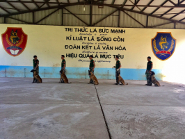 Top 7 Trung tam huan luyen cho uy tin va chuyen nghiep nhat Viet Nam