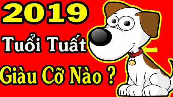 Top 8 dia chi xem boi tu vi uy tin chat luong nhat tai Viet Nam.