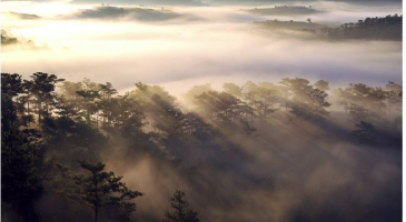 Top 6 Dia diem san may dep nhat Da Lat
