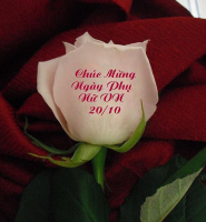 Top 7 Loi chuc 2010 danh cho co giao mam non hay va y nghia nhat