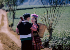 Top 6 dia diem chup anh cuoi tuyet dep o mien Bac vao mua cuoi 2019