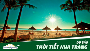 Top 10 Tu khoa duoc tim kiem nhieu nhat tren trang google nam 2019