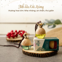 Top 6 Dia chi mua tinh dau treo xe o to tot nhat tai TP. HCM