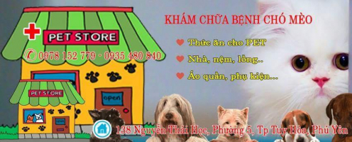Top 4 Phong kham thu y uy tin nhat tai Phu Yen