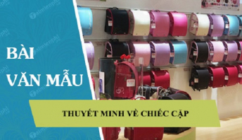 Top 12 Bai van thuyet minh ve chiec cap sach lop 8 hay nhat