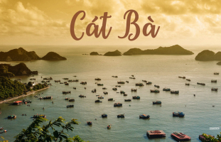 Top 14 Nha hang quan an ngon va chat luong nhat Cat Ba Hai Phong