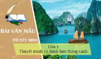 Top 15 Dan y thuyet minh ve danh lam thang canh o dia phuong em lop 8 hay nhat