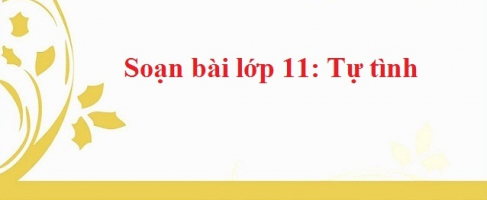 Top 5 Bai soan Tu tinh bai II 8211 Ho Xuan Huong Ngu Van 11 hay nhat