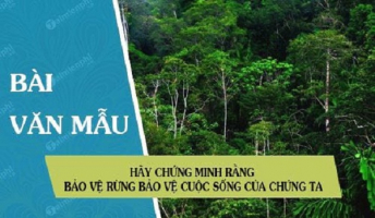 Top 10 Bai van chung minh rang bao ve rung la bao ve cuoc song cua chung ta lop 7 hay nhat