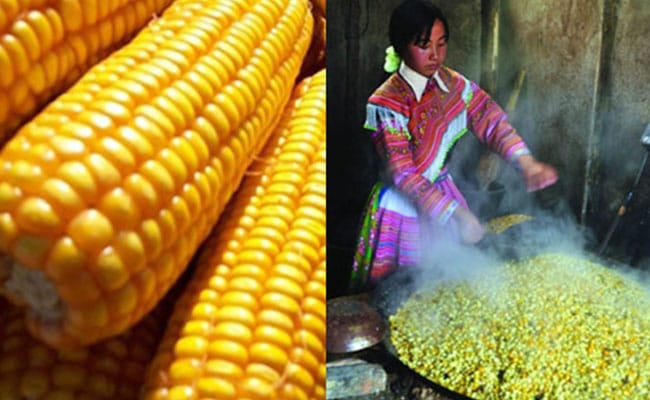 top 10 dac san am thuc ngon nhat tai tuyen quang 20 15 38
