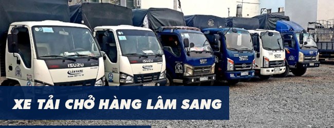 top 8 dich vu chuyen nha tron goi gia re quan binh tan 06 50 44
