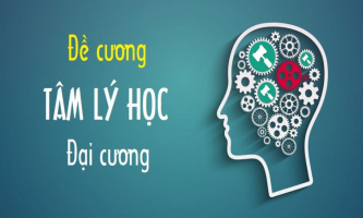 Top 5 Cau hoi thuong gap nhat cua mon Tam ly hoc dai cuong