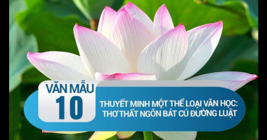 Top 5 Bai van Thuyet minh ve the tho That ngon bat cu Duong luat hay nhat.
