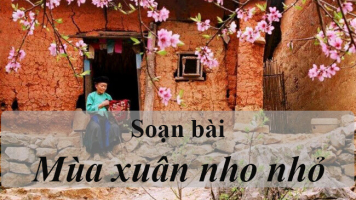 Top 6 Bai soan 8220Mua xuan nho nho8221 cua Thanh Hai lop 9 hay nhat
