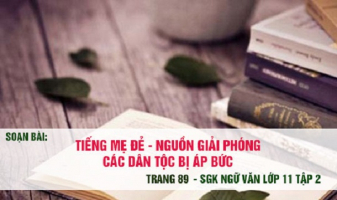 Top 6 Bai soan 8220Tieng me de nguon giai phong cac dan toc bi ap buc8221 cua Nguyen An Ninh lop 11 hay nhat