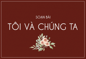 Top 6 Bai soan 8220Toi va chung ta8221 cua Luu Quang Vu lop 9 hay nhat