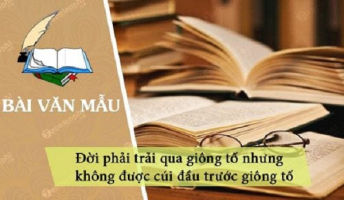Top 10 Bai van nghi luan xa hoi ve cau noi 8220Doi phai trai qua giong to nhung khong duoc cui dau truoc giong to8221 lop 12 hay nhat