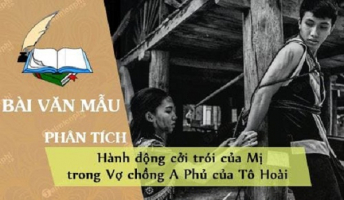 Top 9 Bai van phan tich hanh dong Mi coi troi cho A Phu trong 8220Vo chong A Phu8221 cua To Hoai lop 12 hay nhat