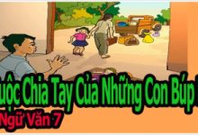 Top 6 Bai van Phan tich nhan vat Thanh va Thuy trong Cuoc chia tay cua nhung con bup be Ngu van 7 hay nhat