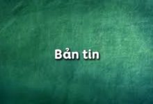 Top 5 Bai soan Ban tin Ngu van 11 hay nhat