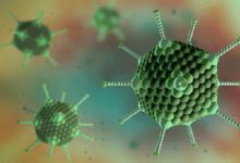 Top 5 Luu y quan trong nhat ve benh do Adenovirus