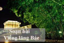 Top 6 Bai soan 8220Vieng lang Bac8221 cua Vien Phuong lop 9 hay nhat