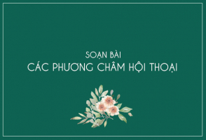 Top 5 Bai soan 8220Cac phuong cham hoi thoai8221 hay nhat