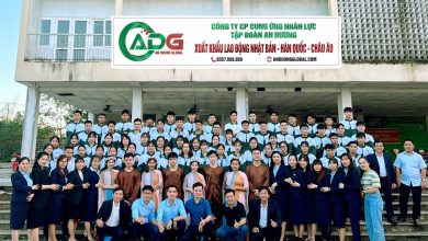 Chương Trình Xuất Khẩu Lao Động Tại An Dương Global Có Tốt?