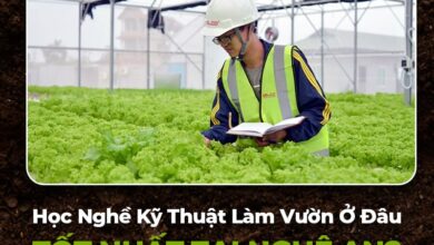 học nghề làm vườn tại Nghệ An