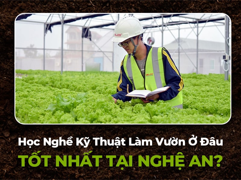 học nghề làm vườn tại Nghệ An