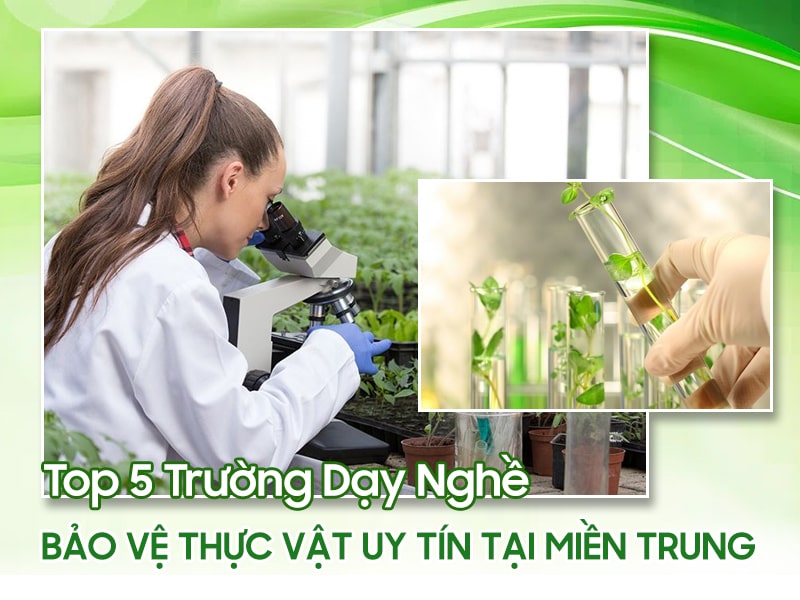 nghề bảo vệ thực vật