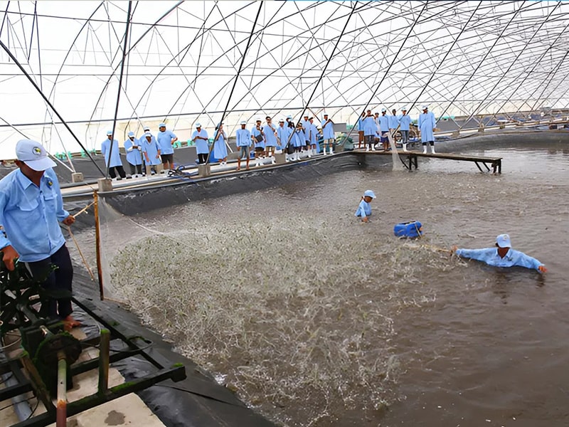 Học Nghề Nuôi Trồng Thủy Sản Nơi Nào Tốt Nhất Tại Nghệ An? 11 co hoi nghe nuoi trong thuy san